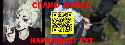 spice Камышлов