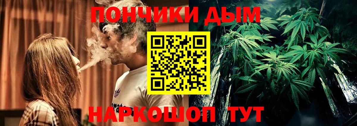 Бошки Шишки сатива Нальчик